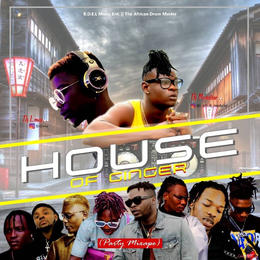 Dj Medullar X Dj Lawy - House Of Ginger (Party Mix)